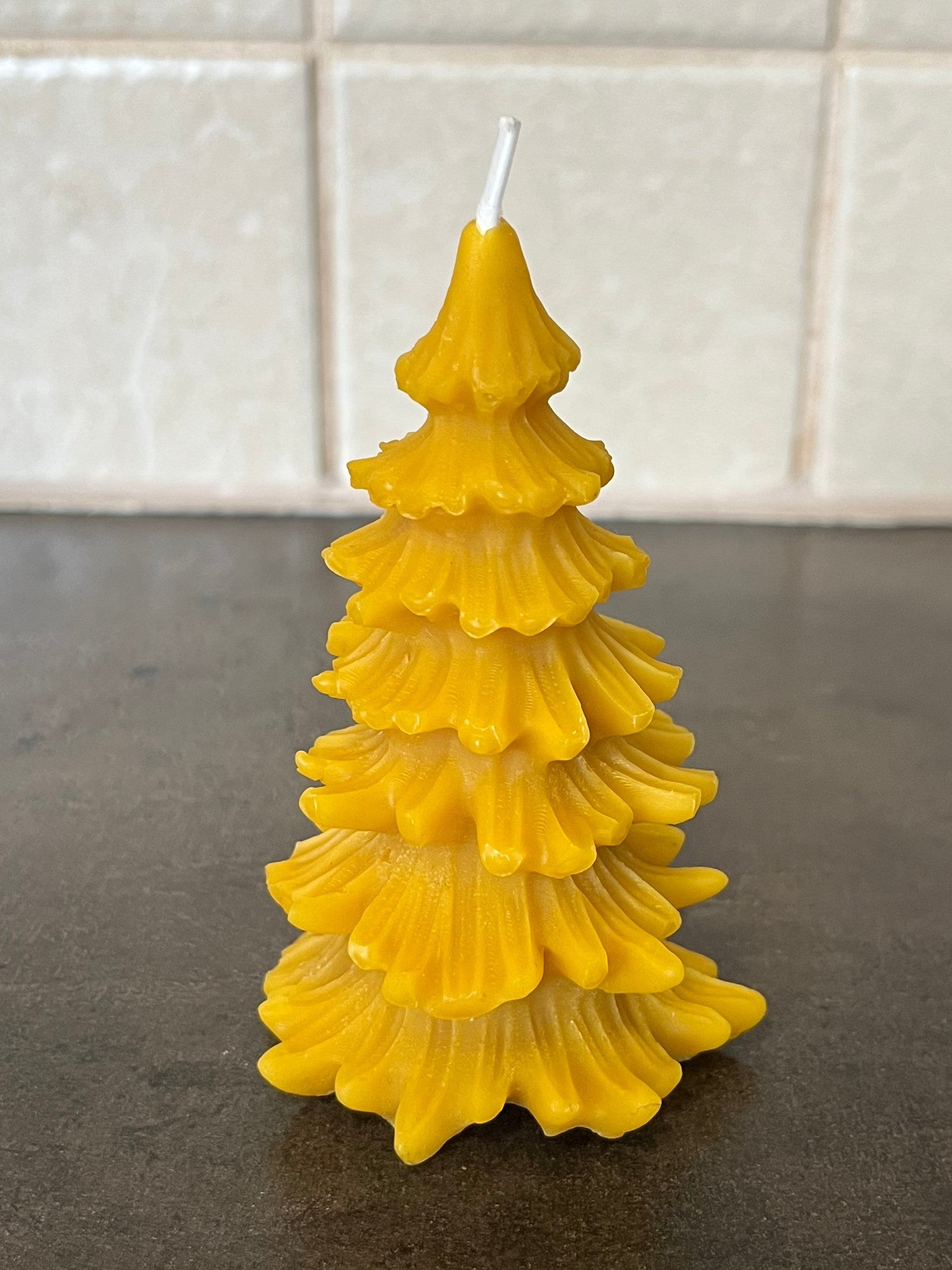 Viaszgyertya - Fenyőfa