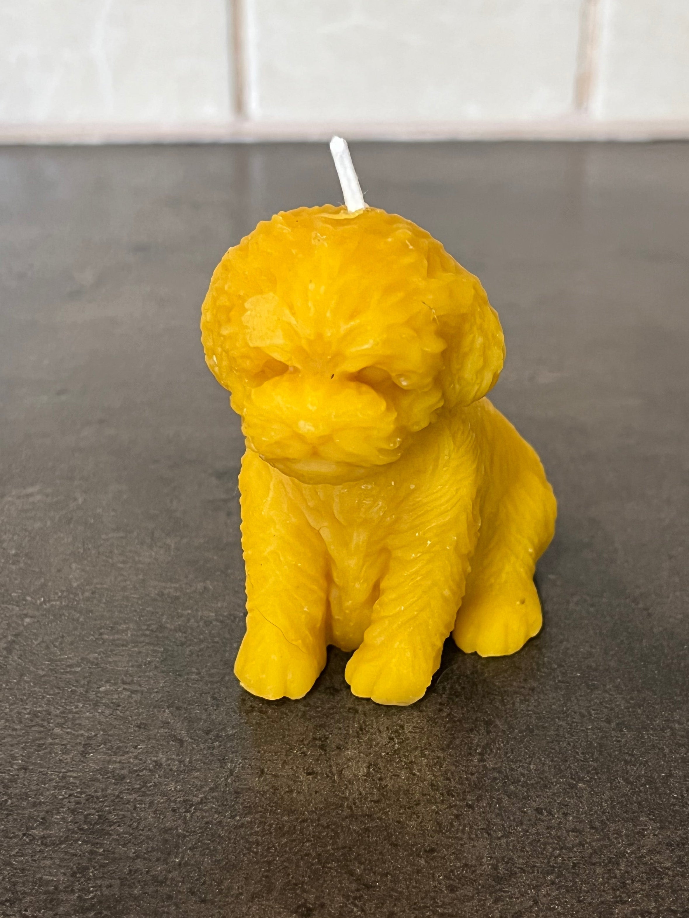 Viaszgyertya - Kutya