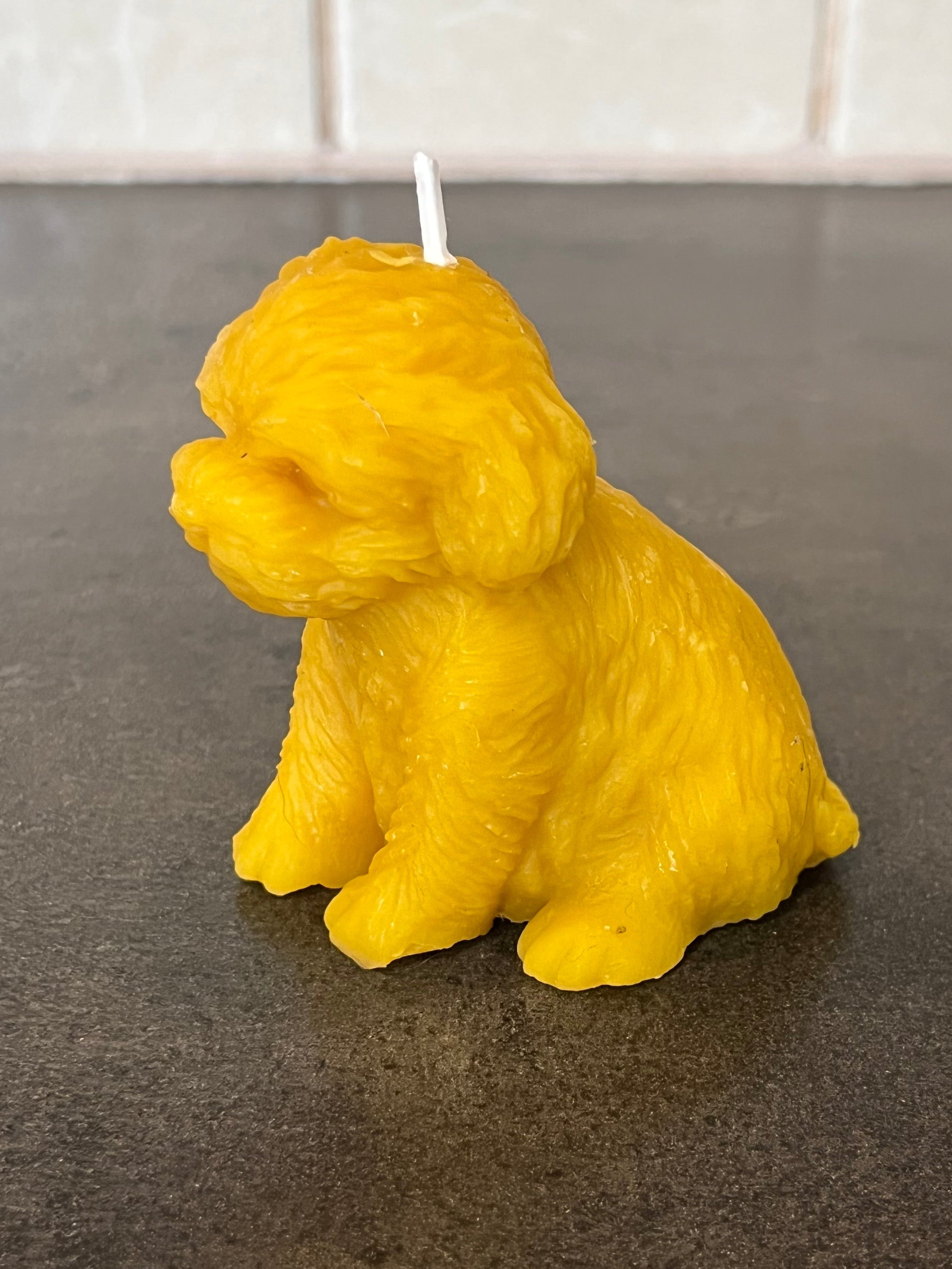 Viaszgyertya - Kutya