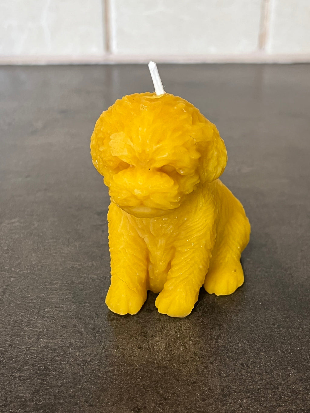 Viaszgyertya - Kutya