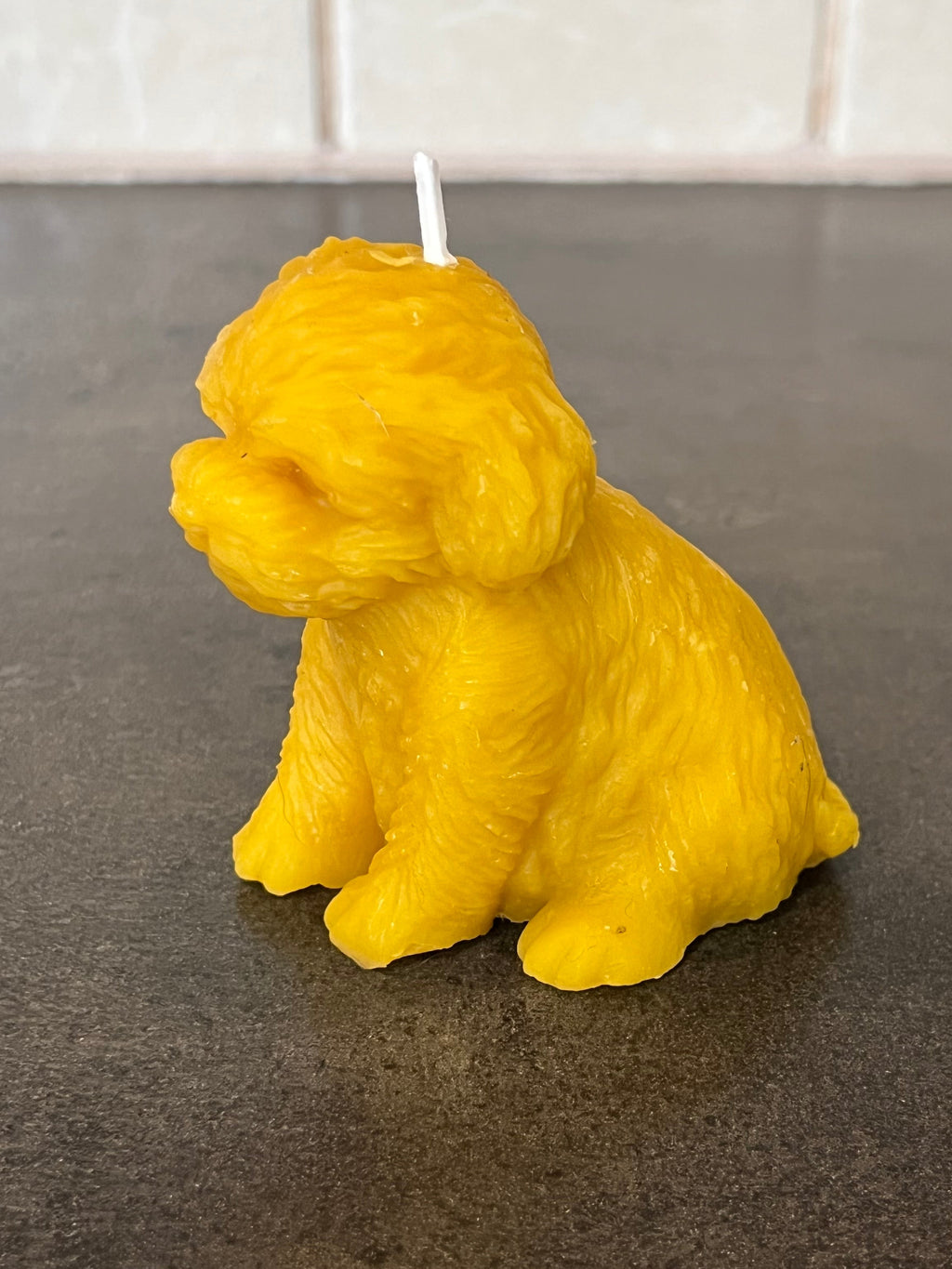 Viaszgyertya - Kutya