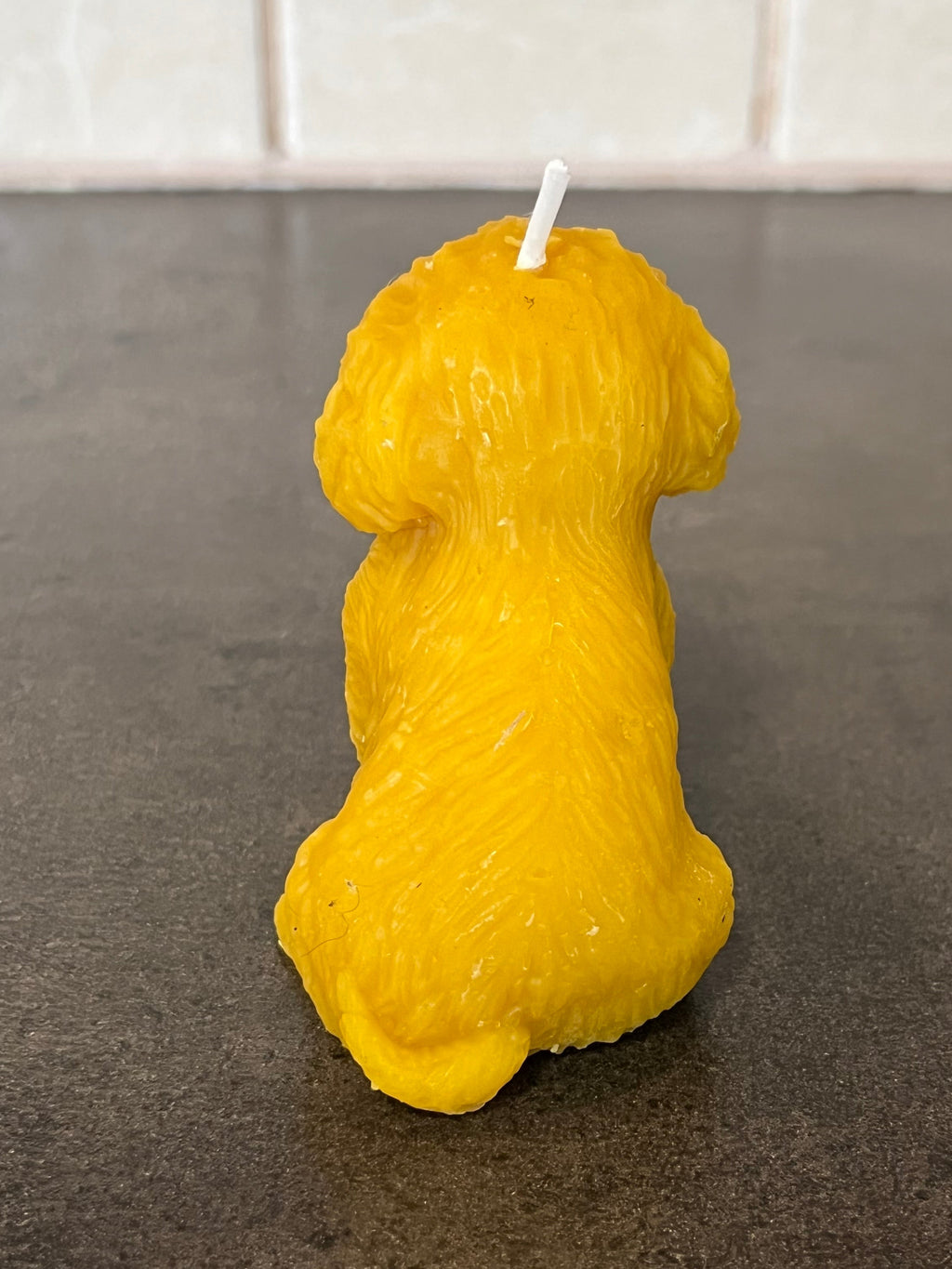 Viaszgyertya - Kutya