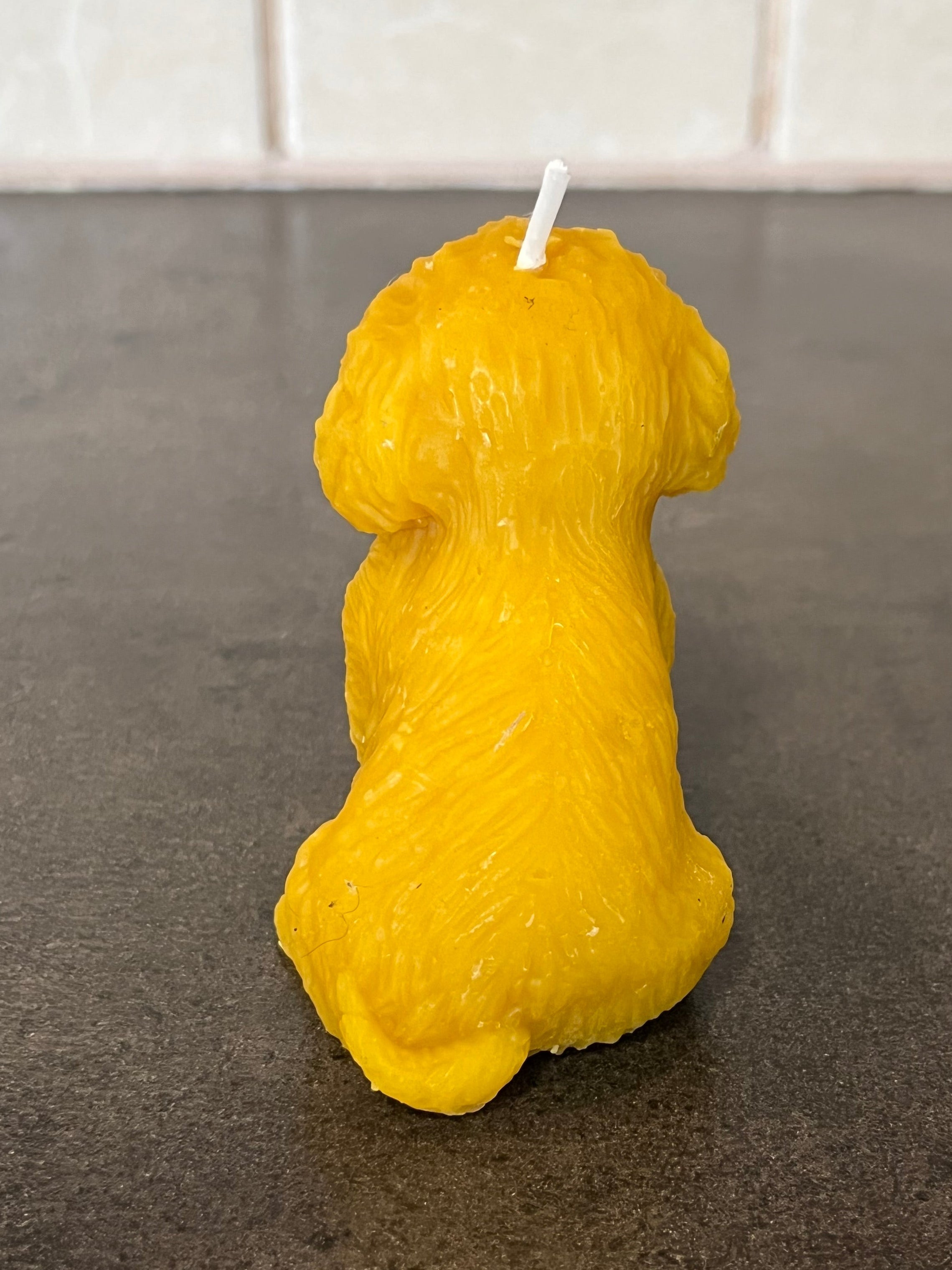 Viaszgyertya - Kutya